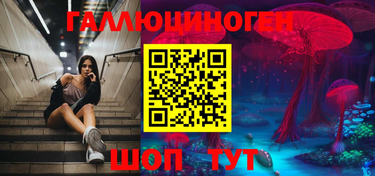Галлюциногенные грибы GOLDEN TEACHER  Вход с VPN  как найти закладки  Кыштым 